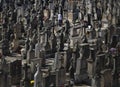 Stone crosses on cemetery