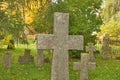 Stone crosses in the old cemetery in autumn Royalty Free Stock Photo