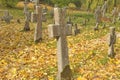 Stone crosses in the old cemetery in autumn Royalty Free Stock Photo