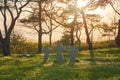 Stone crosses at sunset in German military cemetery, Europe