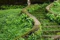 Stone curved steps covered in overgrown leaves Royalty Free Stock Photo