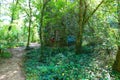 A stone cylinder shaped building in the forest covered with colorful graffiti surrounded by lush green trees and plants Royalty Free Stock Photo