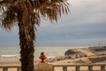 Stone dam with lighthouse and palm tree foreground. Pier on coast in the evening. Embankment on tropical seaside. Royalty Free Stock Photo