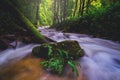 Stone and decayed log tree that contain with mosses in stream waterfall rainforest that took by long exposure for make water Royalty Free Stock Photo