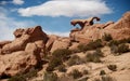 Stone desert in Bolivia rocks mountains sand