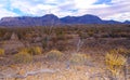 Stone desert, desert landscape in the mountains in Texas in Big Bend National Park Royalty Free Stock Photo