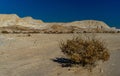 Stone desert in Israel travel attraction