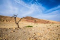 Stone desert near the resort of Eilat