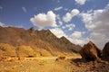 Stone desert Sinai Royalty Free Stock Photo