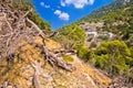 Stone desert trail near Pustinja Blaca hermitage on Brac island Royalty Free Stock Photo