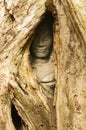 Hidden Face, Ta Prohm Temple, Angkor Wat, Cambodia Royalty Free Stock Photo