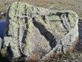 Stone with different geological shapes sculpted by water Royalty Free Stock Photo