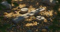 Stone Division Symbol in a Sun-Dappled Forest Setting: A Conceptual Image of Mathematical Division Represented by Natural Elements