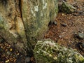 Stone dolmens. Ancient burial and religious buildings of stone blocks