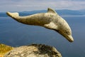 Stone dolphin sculpture on a cliff in Galicia. Spain.