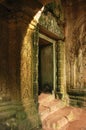 Doorway in sunlight, Ta Prohm Temple, Cambodia