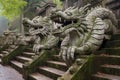 stone dragon sculptures guarding temple steps