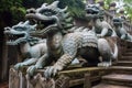 stone dragon sculptures guarding temple steps