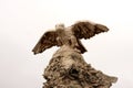 Stone eagle Royalty Free Stock Photo