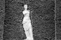 Stone effect Lady Figure Venus in the artificial greenery wall in a garden. Black and white Royalty Free Stock Photo