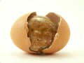 Stone egg and cracked shell Royalty Free Stock Photo