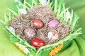 Stone eggs in nest of hay Royalty Free Stock Photo