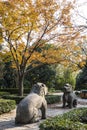 Stone Elephant Road autumn scenery Royalty Free Stock Photo