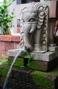 Stone elephant water fountain