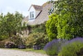 Stone english house with lavender, pear tree in front garden Royalty Free Stock Photo