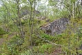 Stone exposures in the forest-tundra. Murmansk region