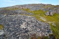 Stone exposures on a hill slope. Kola Peninsula, summer