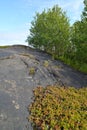 Stone exposures on a hill slope. Murmansk region