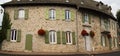 Stone facade olive green color and flowers