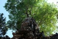 Stone face. Stone head of a man near a tree. Architectural monument Royalty Free Stock Photo