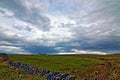 Stone fenced path to Moher Tower along the Cliffs of Moher Royalty Free Stock Photo