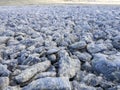 Stone fields, Stanley Island, Falkland Islands - Malvinas