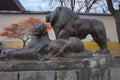 A stone figure of a lion and a lioness before entering the Kiev Zoo.