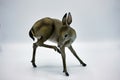 Stone figurine of deer