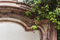 Stone fireplace with decor and tree creeping on the wall. Royalty Free Stock Photo