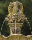 Stone fish fountain