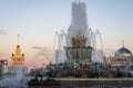The Stone Flower Fountain in the Industrial Square in VDNH, Moscow