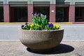 Stone Flower Pot With Colorful Spring Flowers along a Street at Roosevelt Island in New York City Royalty Free Stock Photo