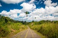 Campuhan ridge walk in Bali