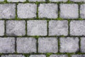 Stone footpath with moss Royalty Free Stock Photo