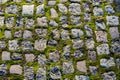 Stone footpath with moss, close up image Royalty Free Stock Photo