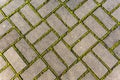 Stone footpath with moss, close up image Royalty Free Stock Photo