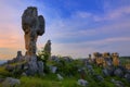 Stone Forest Royalty Free Stock Photo