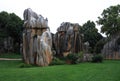 Stone forest