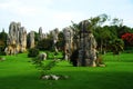 Stone Forest, China Royalty Free Stock Photo
