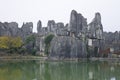 The Stone Forest - The first wonder of the world
